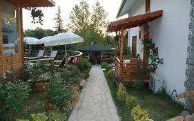 Treetops Park Hotel