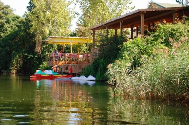 Treetops Park Hotel Sile Exterior photo